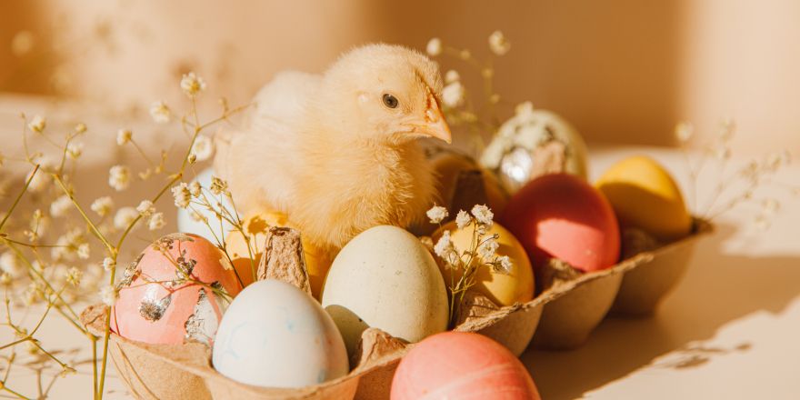 Herkomst van 'beter een half ei dan een lege dop' | Schrijven Online